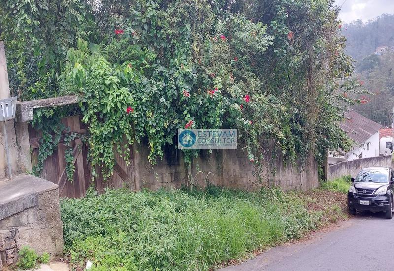 Imagem do WhatsApp de 2024-02-27 à(s) 18.26.45_2eb98053