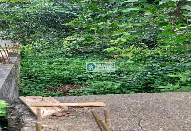 Imagem do WhatsApp de 2024-02-27 à(s) 18.26.45_bf95c3f5