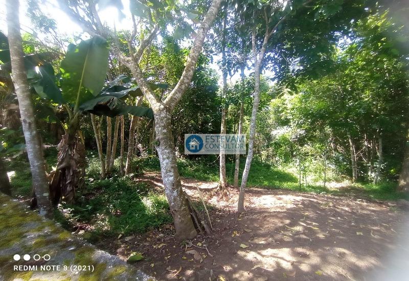 Imagem do WhatsApp de 2024-03-21 à(s) 14.27.27_8424cd8e